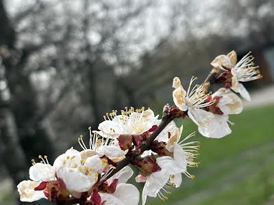 квартира за адресою Семафорна вул., 3