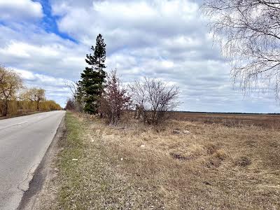 участок по адресу с. Липовый Скиток, 