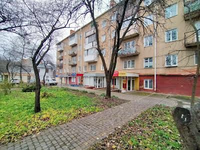 комерційна за адресою Степана Бандери вул., 33а