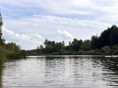 будинок за адресою с. Миколаївка, Лісова Поляна