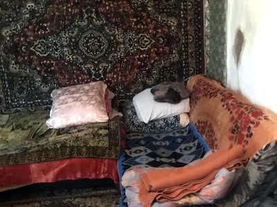 дом по адресу куща