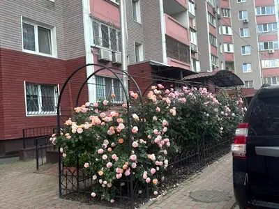квартира по адресу Петра Григоренко просп., 14
