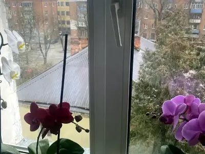 квартира за адресою Кам'янецька вул., 68