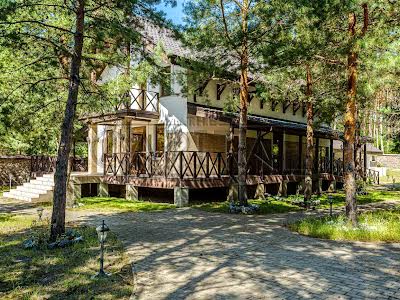 будинок за адресою с. Дмитрівка, Радісна