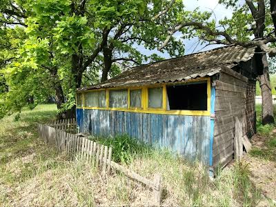 ділянка за адресою смт. Козин, 