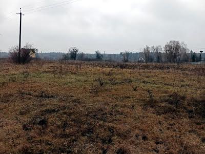 ділянка за адресою с. Проців, 