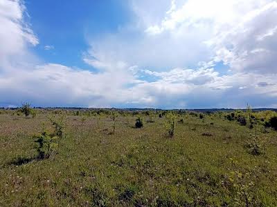 ділянка за адресою вище вул. Затишної
