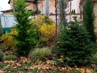 квартира за адресою Дачна вул., 28А