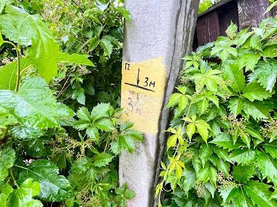 дом по адресу Тополина, 35А
