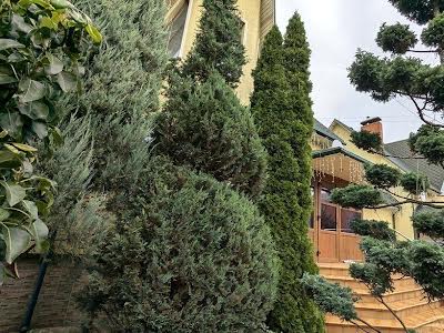 будинок за адресою Печерська, 55