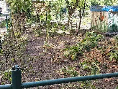 квартира по адресу Бориса Чичибабина ул., 6