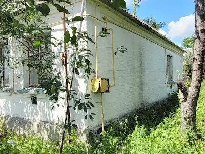 дом по адресу с. Тетеревка, Партизанська, 2