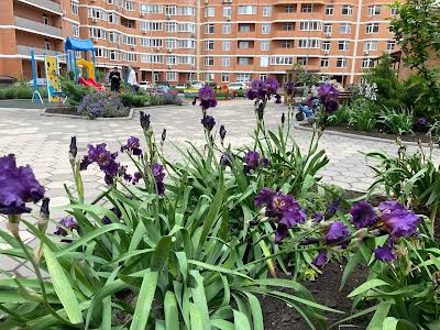 квартира по адресу Овидиопольская дорога ул., 3