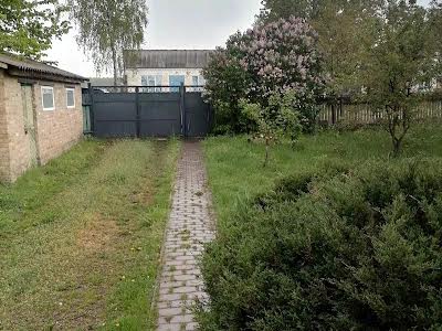 будинок за адресою шевченка