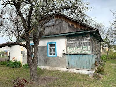 будинок за адресою Вишгород, Лебедевка