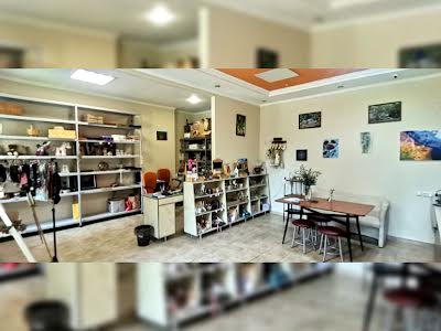 комерційна за адресою Фалєєвська, 50