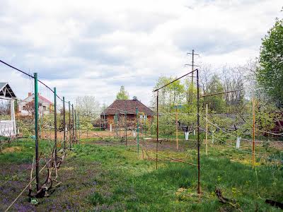 будинок за адресою с. Святопетрівське, Героїв Дніпра вул.