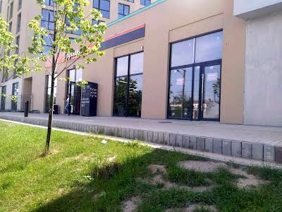 комерційна за адресою Новознесенська вул., 6
