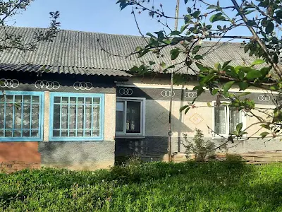 будинок за адресою Левицького, 235