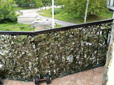 будинок за адресою Заозерна вул., 45