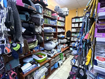 комерційна за адресою Соломії Крушельницької вул., 15-В