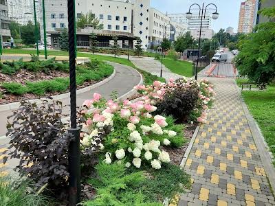 квартира по адресу Кахи Бендукидзе ул., 4в