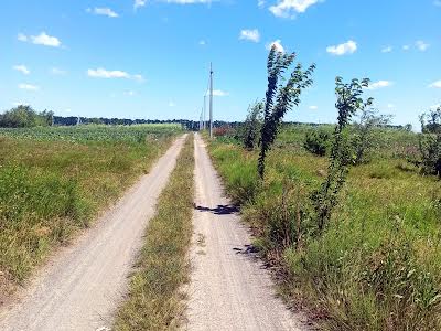 участок по адресу Прибрежная ул., 51