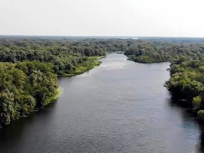 ділянка за адресою с. Хрещатик, вул. Берегова