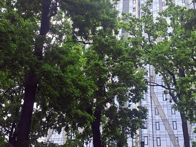 квартира по адресу Авиаконструктора Антонова ул., 2-Б