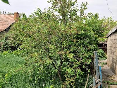 дом по адресу Кривой Рог, Родины ул.