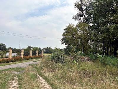 ділянка за адресою Шевченка