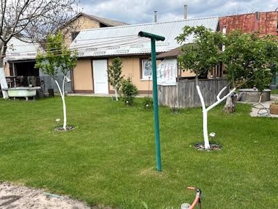 будинок за адресою Чиженка вул., 6