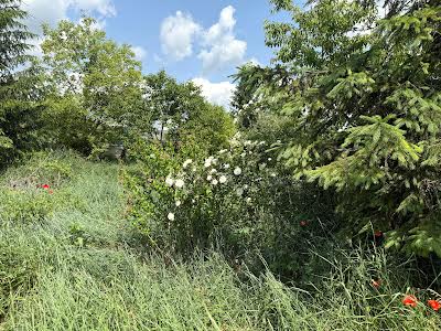 дом по адресу с. Старые Безрадичи, горохова, 1