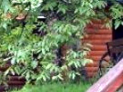 дом по адресу Яремче, Кам'янка, 48