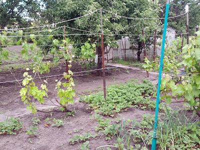 будинок за адресою Антона Вусика