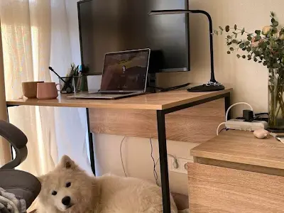 квартира за адресою Тираспольська вул., 58