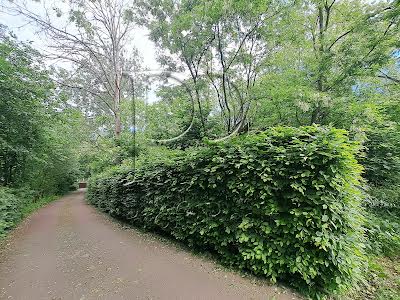 ділянка за адресою Центральна вулиця