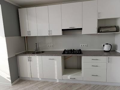 квартира за адресою Петра Маланюка вул., 1