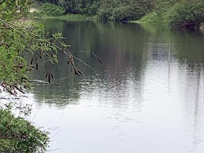 будинок за адресою Южная, 3