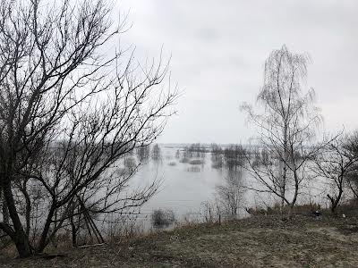 будинок за адресою с. Лютіж, Ірпінська