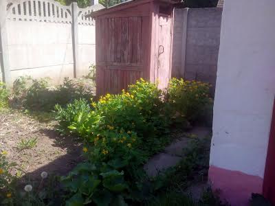 дом по адресу Железная ул., 50