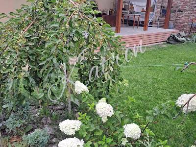 квартира за адресою Дубовика вул., 44