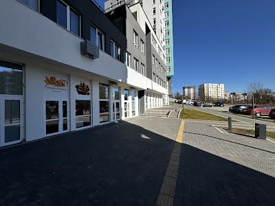 комерційна за адресою Під Голоском вул., 19г