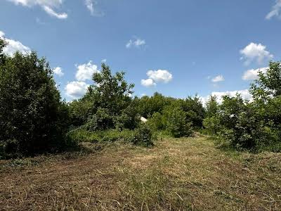 ділянка за адресою с. Вишеньки, Гідності вул. (Жертв Революції), 62В