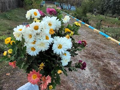 дом по адресу Хутірська, 7