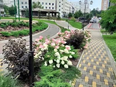квартира за адресою Кахи Бендукідзе вул., 2