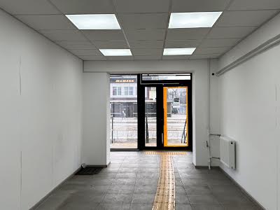 коммерческая по адресу Остафия Дашкевича ул. (Курнатовского), 11