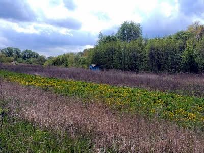 ділянка за адресою с. Агрономічне, 