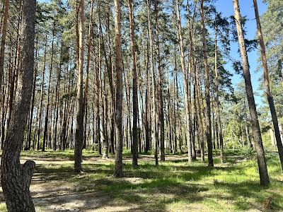 квартира по адресу Выговского ул., 1Я