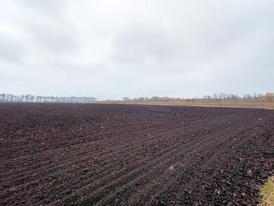 участок по адресу Верлана